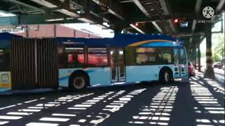 BRONX ZOO BOUND: 2017 NFI XD60 XCELSIOR [5994] Q44 SBS (JUNE 16, 2021)