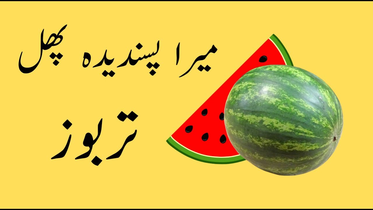 essay on watermelon in urdu