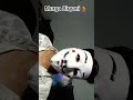 Match khel ke murga Biryani khane aaya hu 😂😂🤣🤣😱❤️🫂✍️✍️🐓 #popular #trending