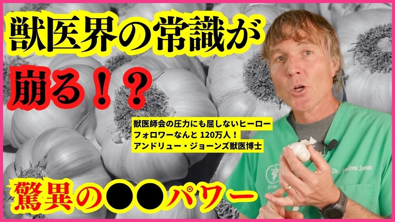 【知らなきゃ損】愛犬にニンニク、実はOK？専門家が語る本当の話