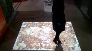 Interactive floor projection in India  portable model