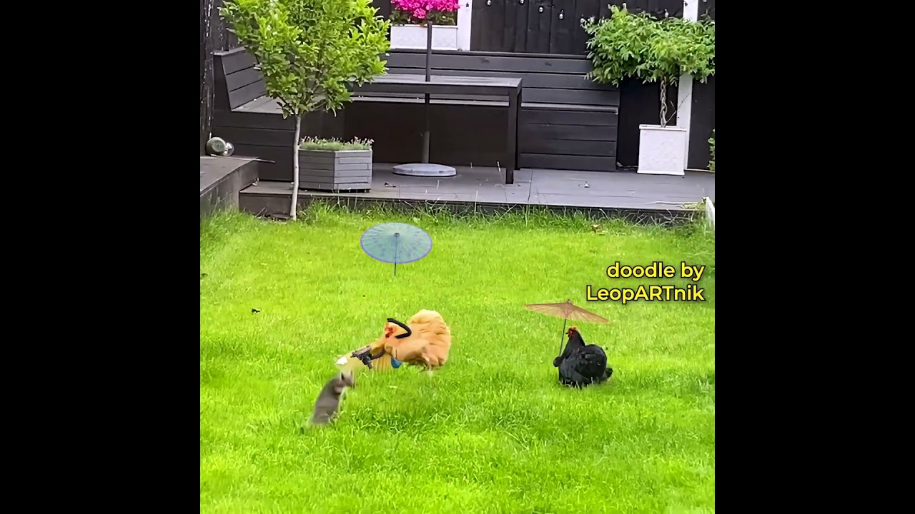 ������������