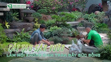 Trước & Sau khi cải tạo – bạn sẽ không tin đây là cùng một khu vườn!