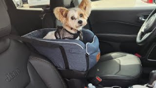 Yokee Dog Car Seat, Pet Car Booster Seat on Car Armrest Review, Fantastic For Sophia!