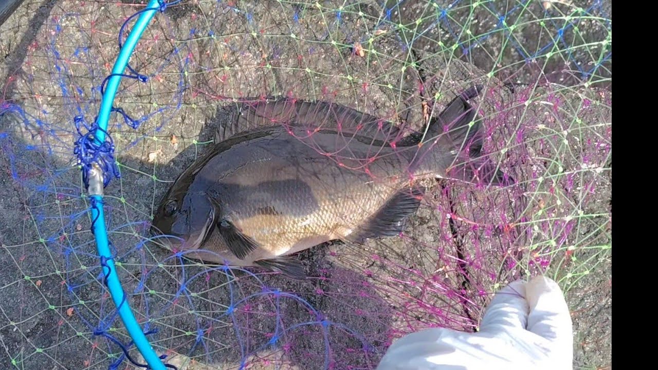 伊豆高原へたっぴ釣行2026年2月16日。最後の最後に大物が！！