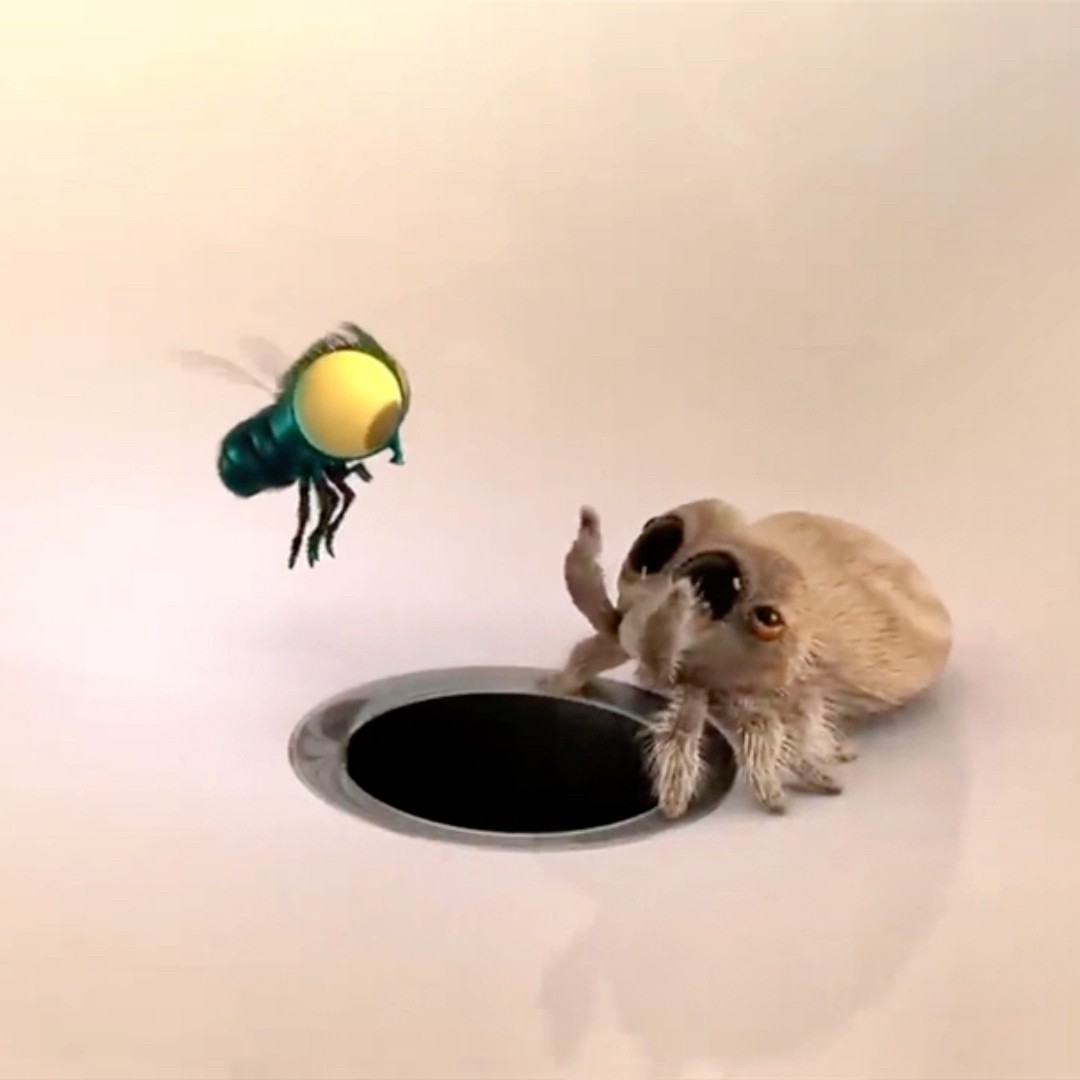ARANHA E A MOSCA BRINCANDO #shorts