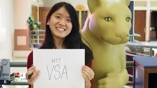 PITT VSA 2016 BOARD VIDEO