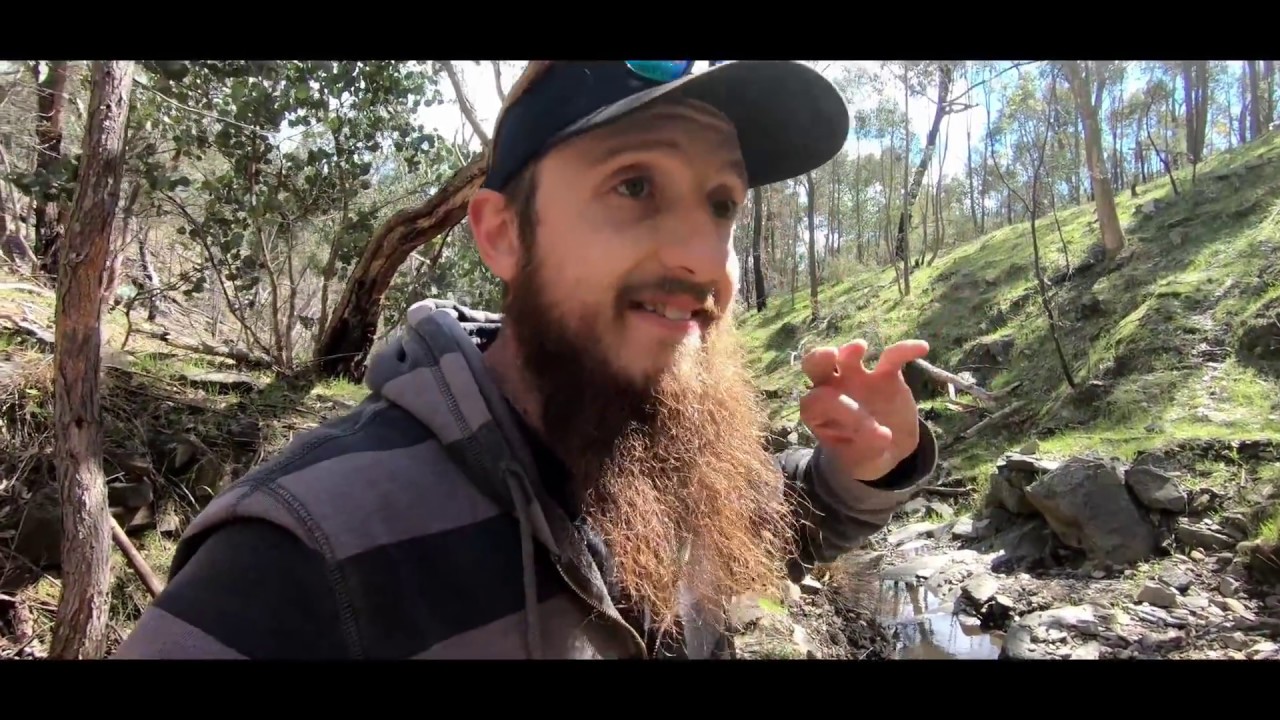 Gold Panning Nugget Gully & Virgin Ground!