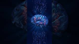 Tu Cerebro Es Más Extraño De Lo Que Imaginas