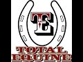 16 Total Equine Features & Benefits