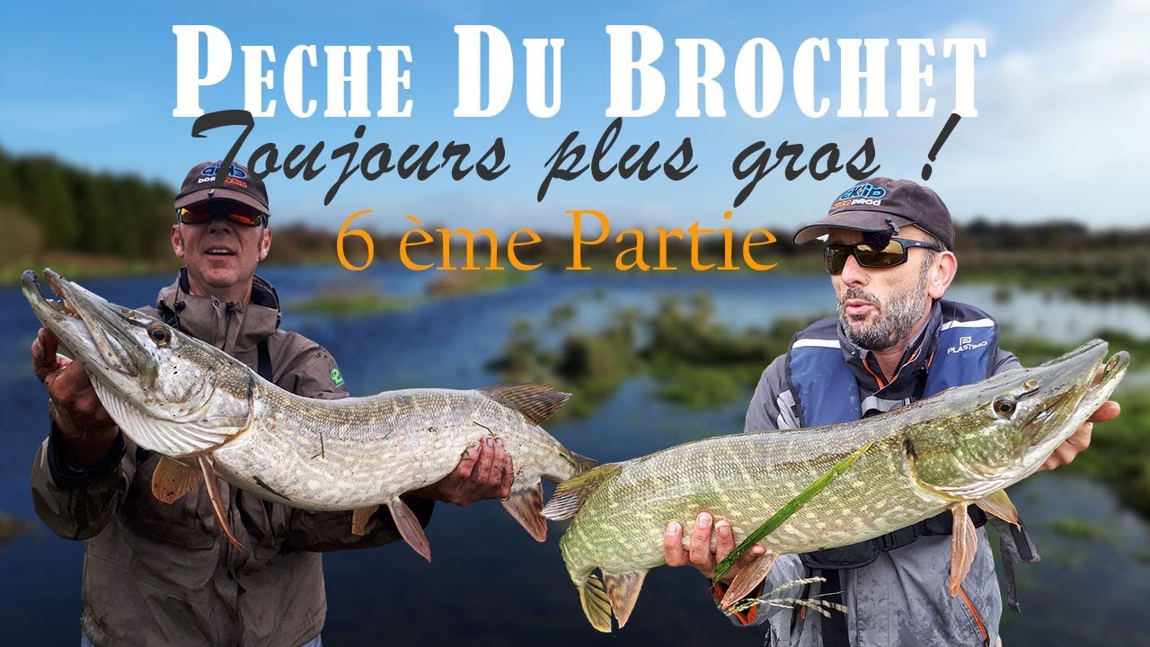 Pêche du brochet 6 Toujours plus gros ! YouTube
