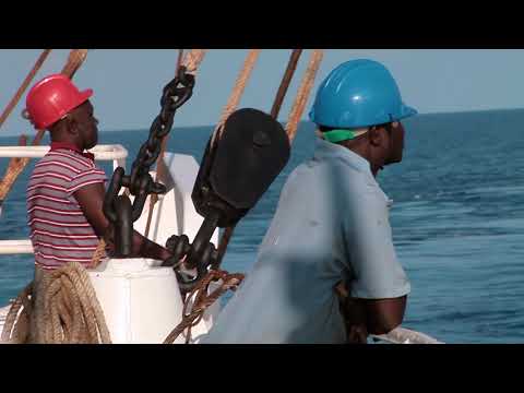 Trailer | Fish Eye | Amin Behroozzadeh