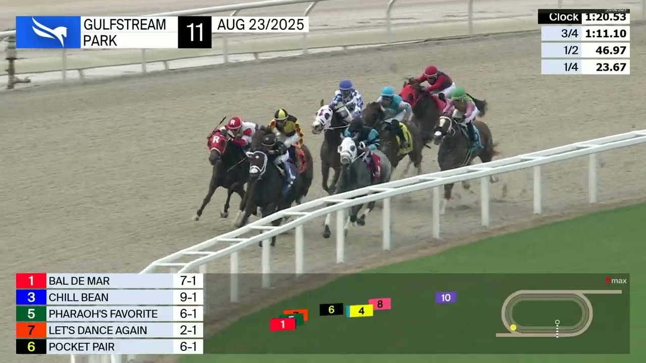Gulfstream Park August 23, 2025 Race 11