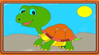 Tortoise Cartoon I Tortoise Video I Tortoise Videos For Kids And More