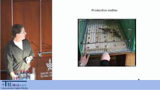 Evolution of Learning and Decision Making in Social Groups