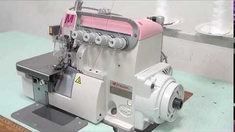 PEGASUS M952/KS with Hohsing New Servo Motor + HD40-3-M9-220 Control Box