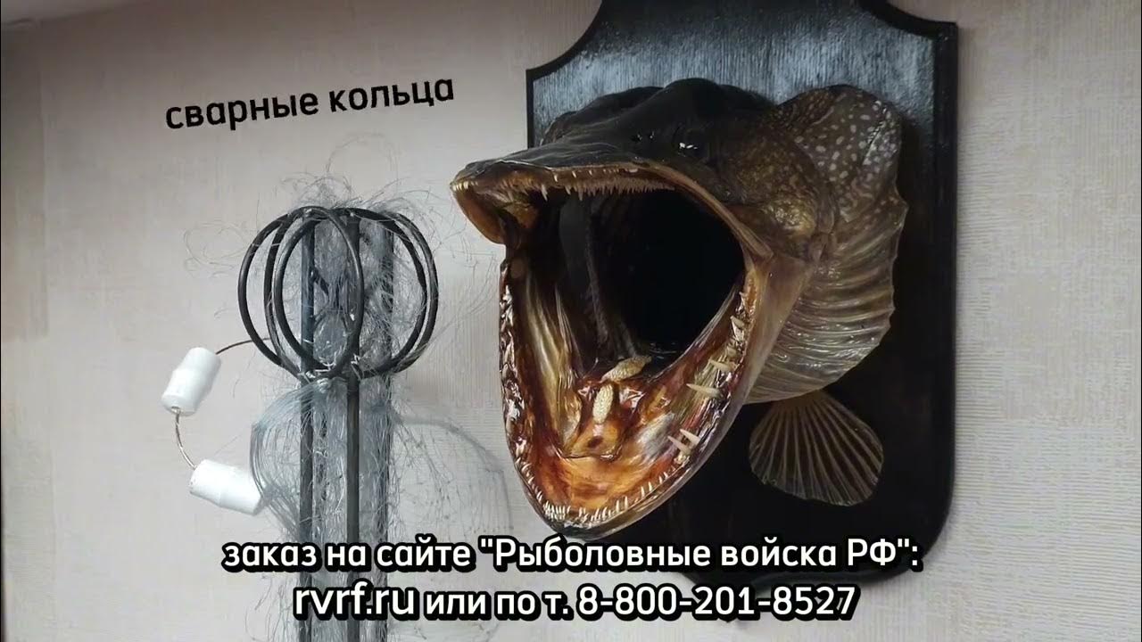 "Профи-140" - хапуга нового поколения от мастерской "Рыболовные войска ...