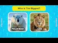 You Have 5 Seconds ⏳ | Animal Challenge 😱