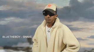 Bluetheboy - Shake (Music Video) ft. Funky Ragazzino & Spenser