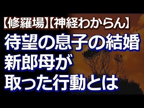 【修羅場】【神経わからん】伯母にとっては『待望の息子の結婚』で、若い二人のために精一杯のことをしてあげようとしたんだろうだけど…