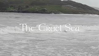 Primordial - The Cruel Sea