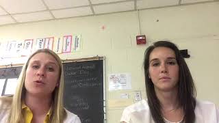 Celebrity Parallel Teaching in MS Math Net Worth