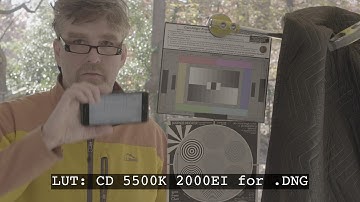 FS7MK2 RAW VS XAVC I