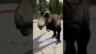 The Hypo Rex In Progression