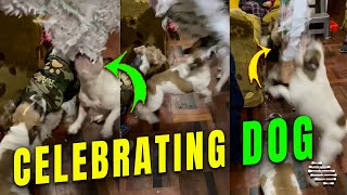 Dog Celebrating Birthday with His Human Family and Doggy Cousins