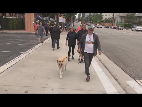 Furry friends join the picket line in SAG-AFTRA strike | Hollywood Actors Strike