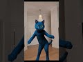 Танцоры превратились в котят! 😹🕺 #приколыкоты