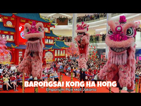 Kong Ha Hong World Champion performance