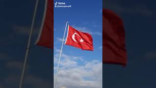 Turkish flag