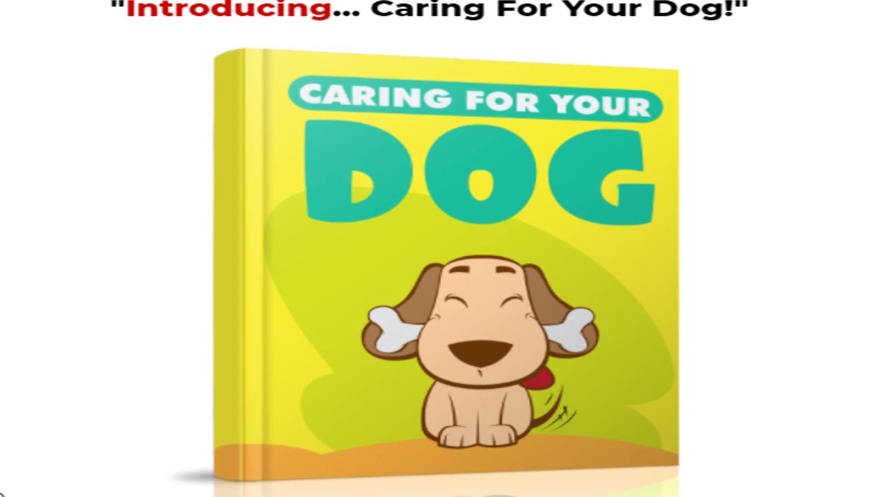 Pets Syndicate - Training Education Funny grooming OF CATS DOGS PETS IN FUNNY LEARNING WAY #shorts