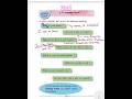 Class 2 | Language Study | #balbharati #stateboard #education #students #viral #2nd