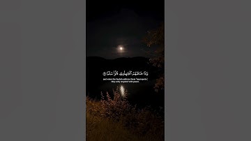 وعباد الرحمن الذين يمشون على الأرض هونا | سورة الفرقان | ياسر الدوسري