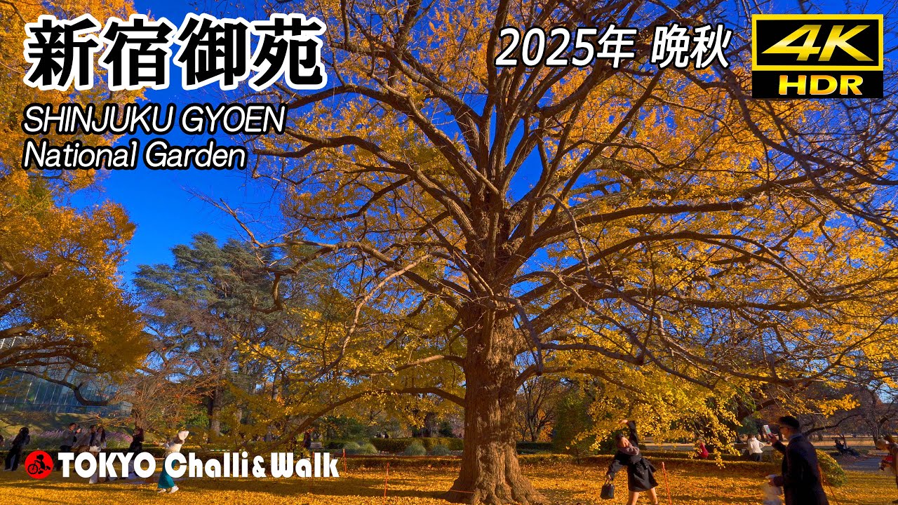 晩秋の新宿御苑/4K HDR