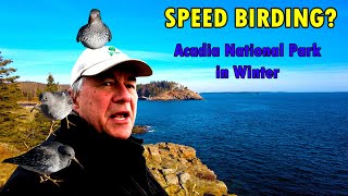 SPEED BIRDING - Acadia National Park in Winter