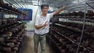 농사정보 서울대 나와서 구례에서 참송이 키우는 농부 인터뷰 귀농한 이유와 참송이 버섯 100평 수익 재배의 어려움을 들어 봤습니다.