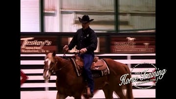 Tip 2 Teach Your Horse To Trot Off Properly