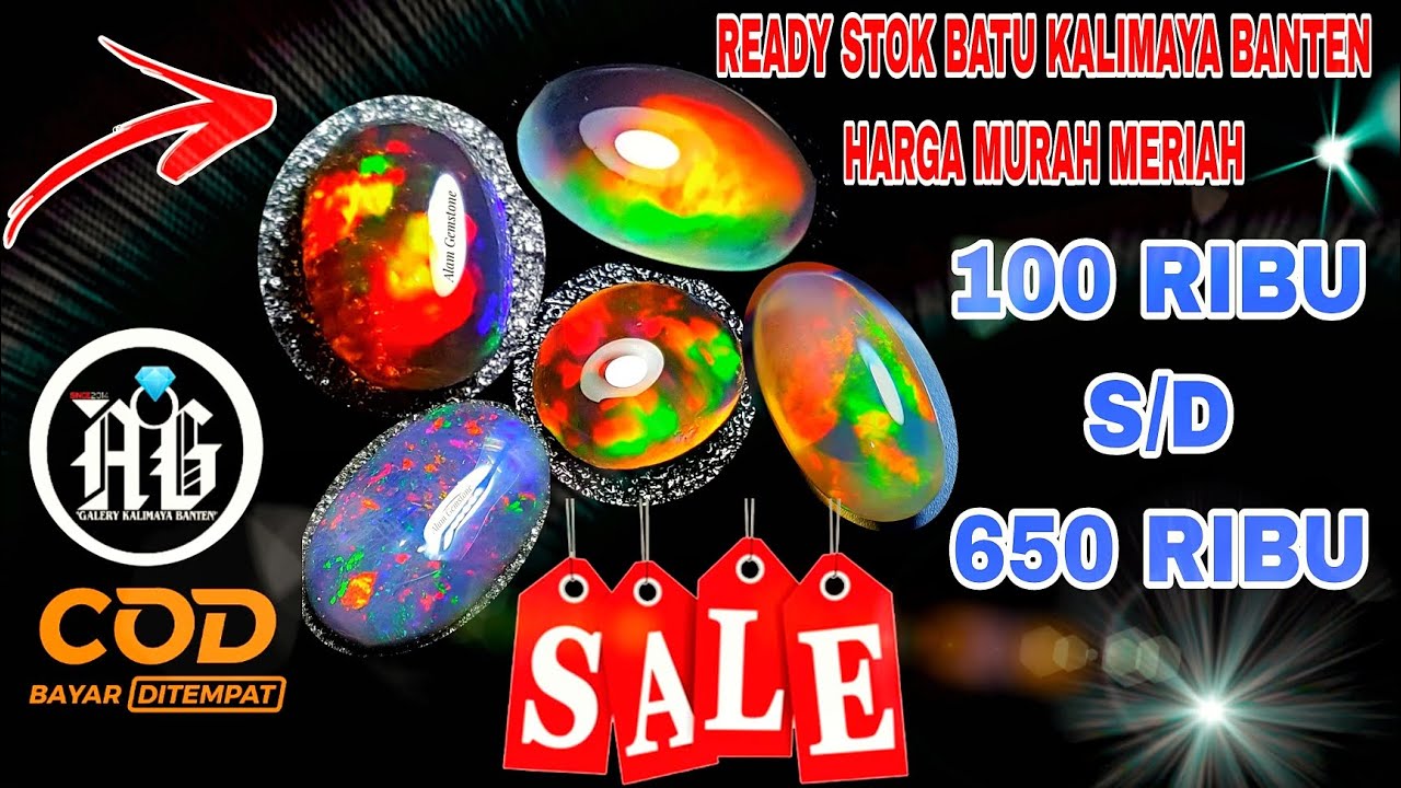 EPS 592 | NGABISIN STOK BATU KALIMAYA BANTEN HARGA 100 RIBU S/D 650 RIBU GASKEUN BOSKU 😍💍 - YouTube