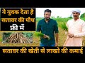 सतावर की खेती: एक एकड़ में लागत और मुनाफे की पूरी जानकारी || Satavar Cultivation In India