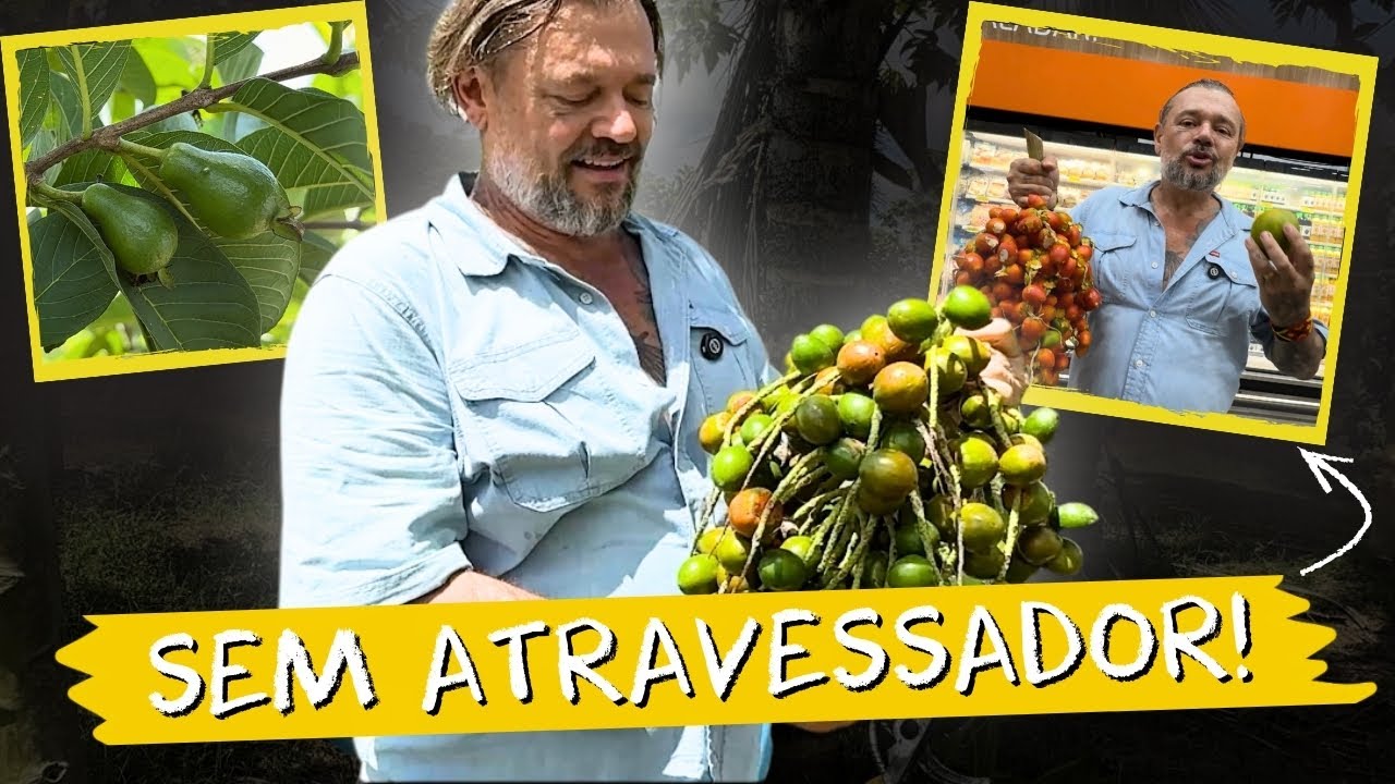O AGRO NA AMAZÔNIA QUE FUNCIONA DE VERDADE 🚜🍌