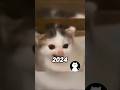 Most Nostalgic Cat Memes Then and Now❤️😿