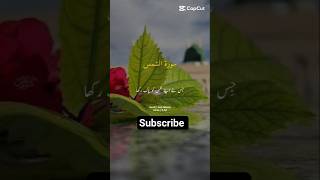 surah Al shams ayat 9-10 Quran tarjma subscribe like shear subscribe beautiful voice