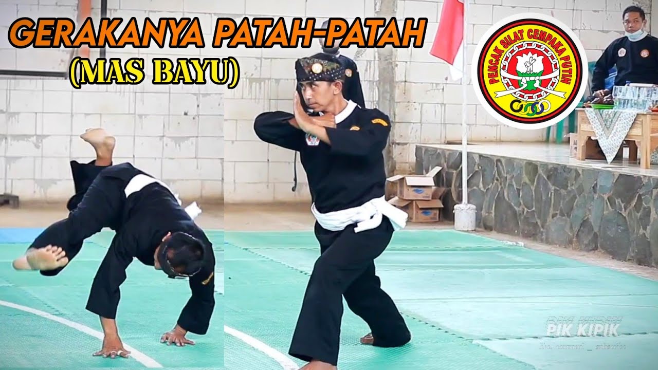 SOLOSPEL PELANTIKAN WARGA PURWA PSCP PATI (mas bayu)