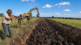 Brazilian Farmers Discovered the One Trap Millions Of Wild Boars Can't Beat