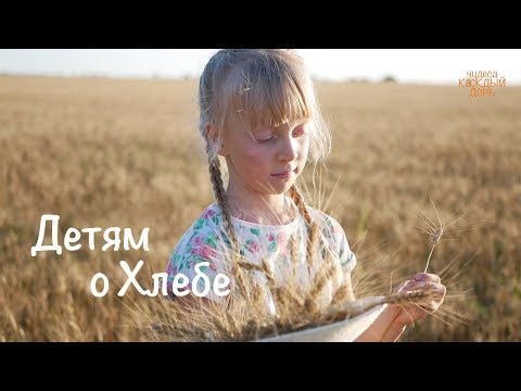 Детям о Хлебе | Как появился хлеб ? | Добродарик