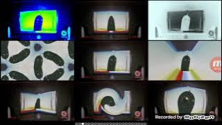 انشودة الخيارة | طيور الجنة 2 Quadparison (Mega Photo Version)