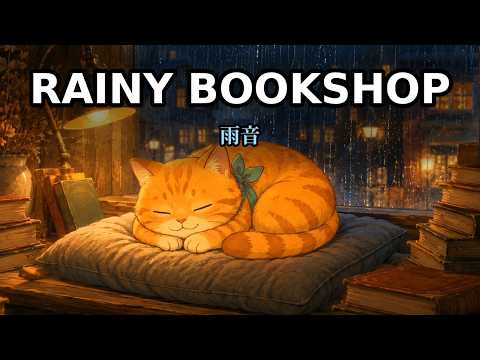 Peaceful Rainy Bookshop Ambiance with Sleepy Tabby Cat